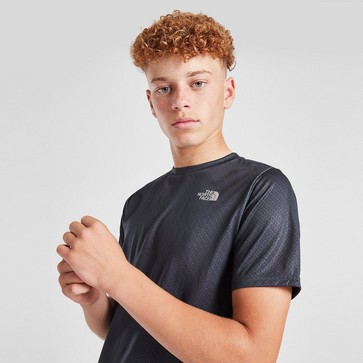 THE NORTH FACE T-SHIRT REAXION GEO T V.GREY