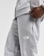 THE NORTH FACE ШТАНИ $MITT PANT LGH/SP'GY