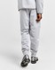 THE NORTH FACE ШТАНИ $MITT PANT LGH/SP'GY
