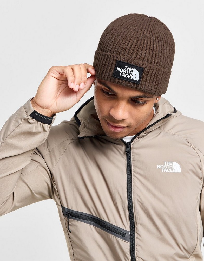 Czapka zimowa damska THE NORTH FACE CZAPKA TNF LOGO BOX CUF BNE WINTER CAP NF0A3FJX1OI1 Brązowy