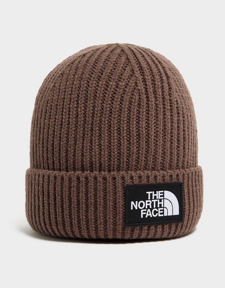 Czapka zimowa damska THE NORTH FACE CZAPKA TNF LOGO BOX CUF BNE WINTER CAP NF0A3FJX1OI1 Brązowy