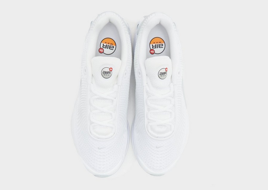 Жіночі кросівки NIKE W AIR MAX DN FJ3145-102 Білий