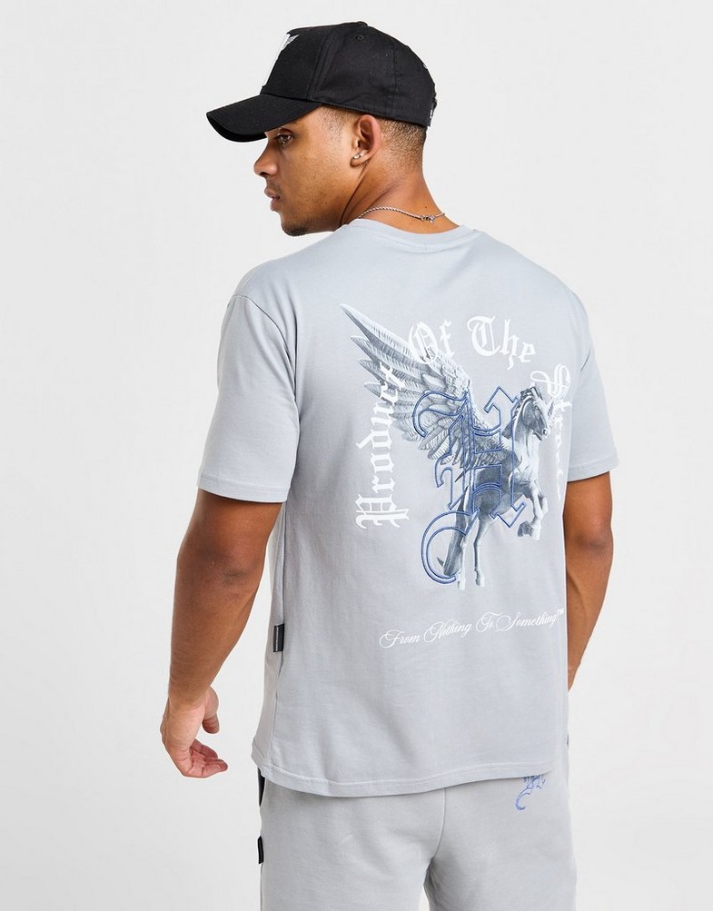 Koszulka, t-shirt męski HOODRICH T-SHIRT PEGASUS TEE GRY