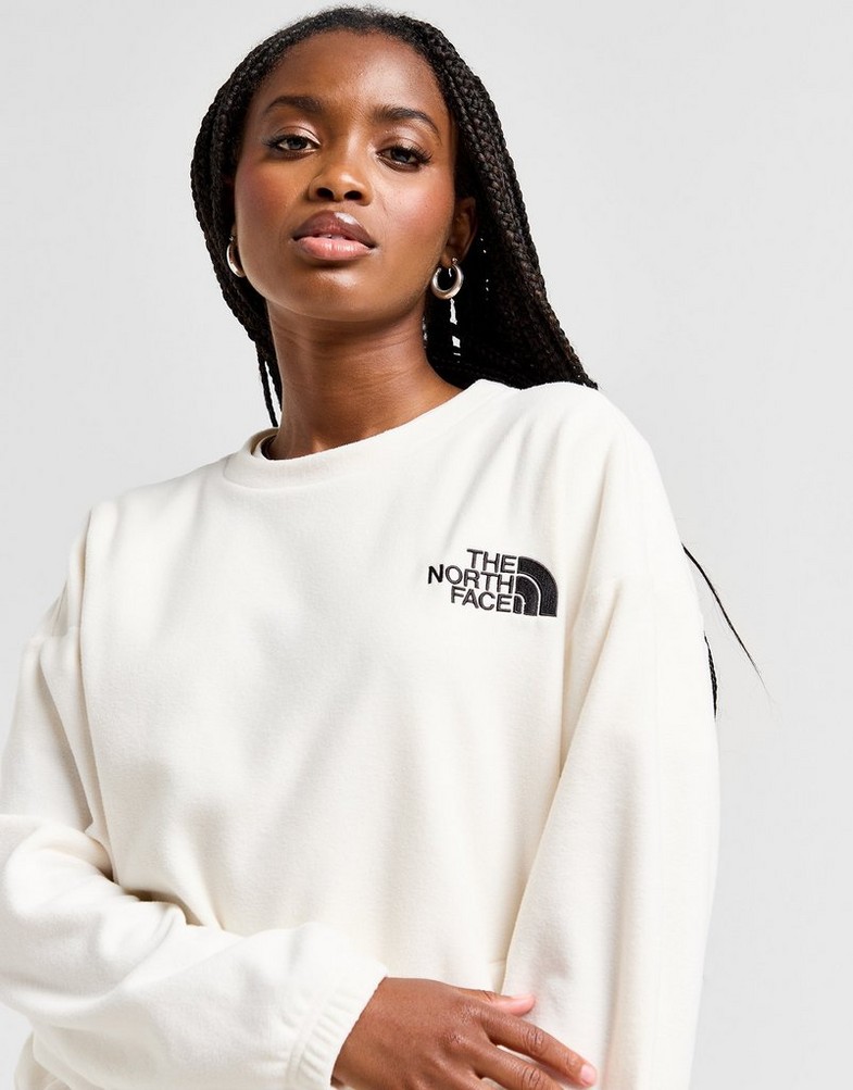 Жіночі кофти THE NORTH FACE КОФТА $BONETE PLR CREW WHT NF0A8AQSQLI1 Білий