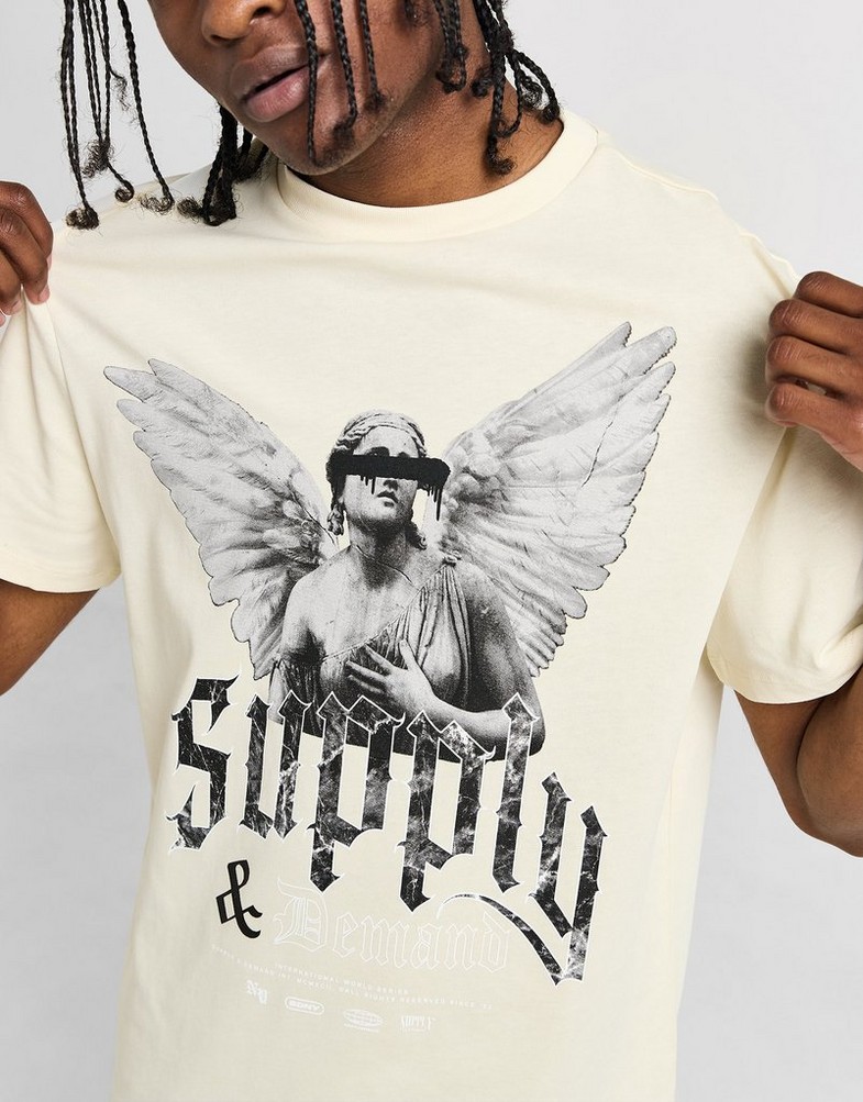 Чоловічі футболки SUPPLY&DEMAND ФУТБОЛКА FALLEN TEE CRM SUPTM17134366 Бежевий