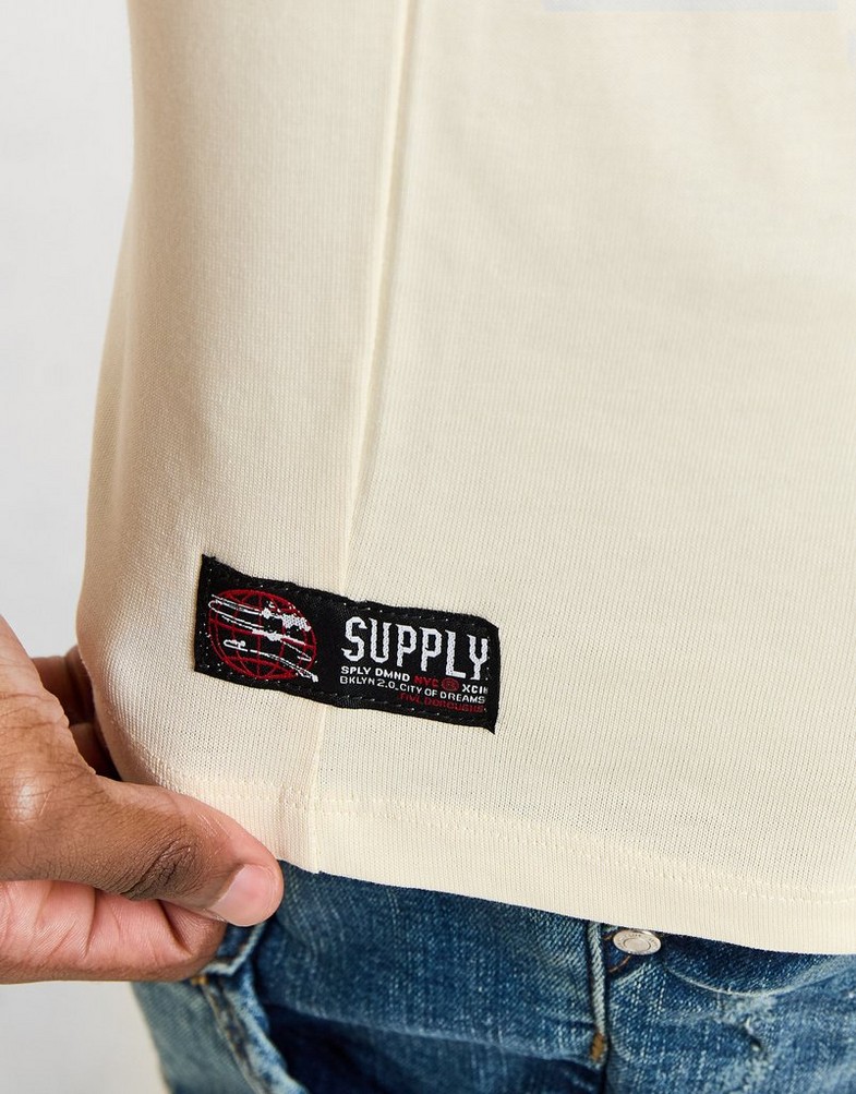 Чоловічі футболки SUPPLY&DEMAND ФУТБОЛКА FALLEN TEE CRM SUPTM17134366 Бежевий