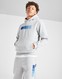 HOODRICH BLUZĂ CU GLUGĂ TONE OH GRY'HTR/BLUE