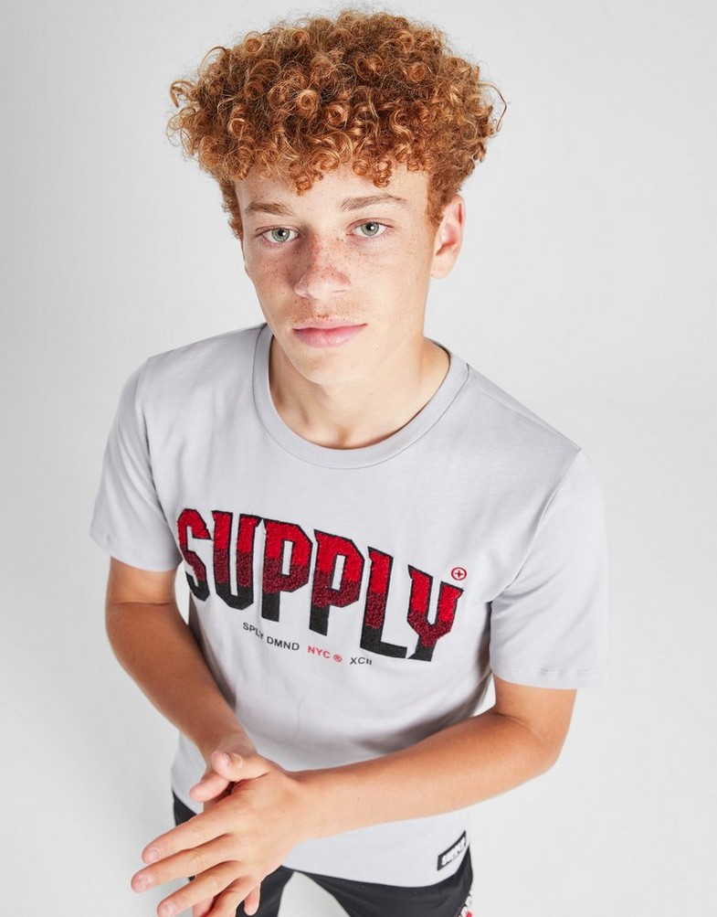 Дитячі футболки SUPPLY&DEMAND ФУТБОЛКА ZUNI TEE APH SUPTJB17350057 Сірий
