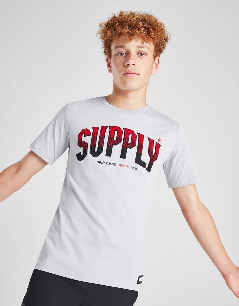 Дитячі футболки SUPPLY&DEMAND ФУТБОЛКА ZUNI TEE APH SUPTJB17350057 Сірий