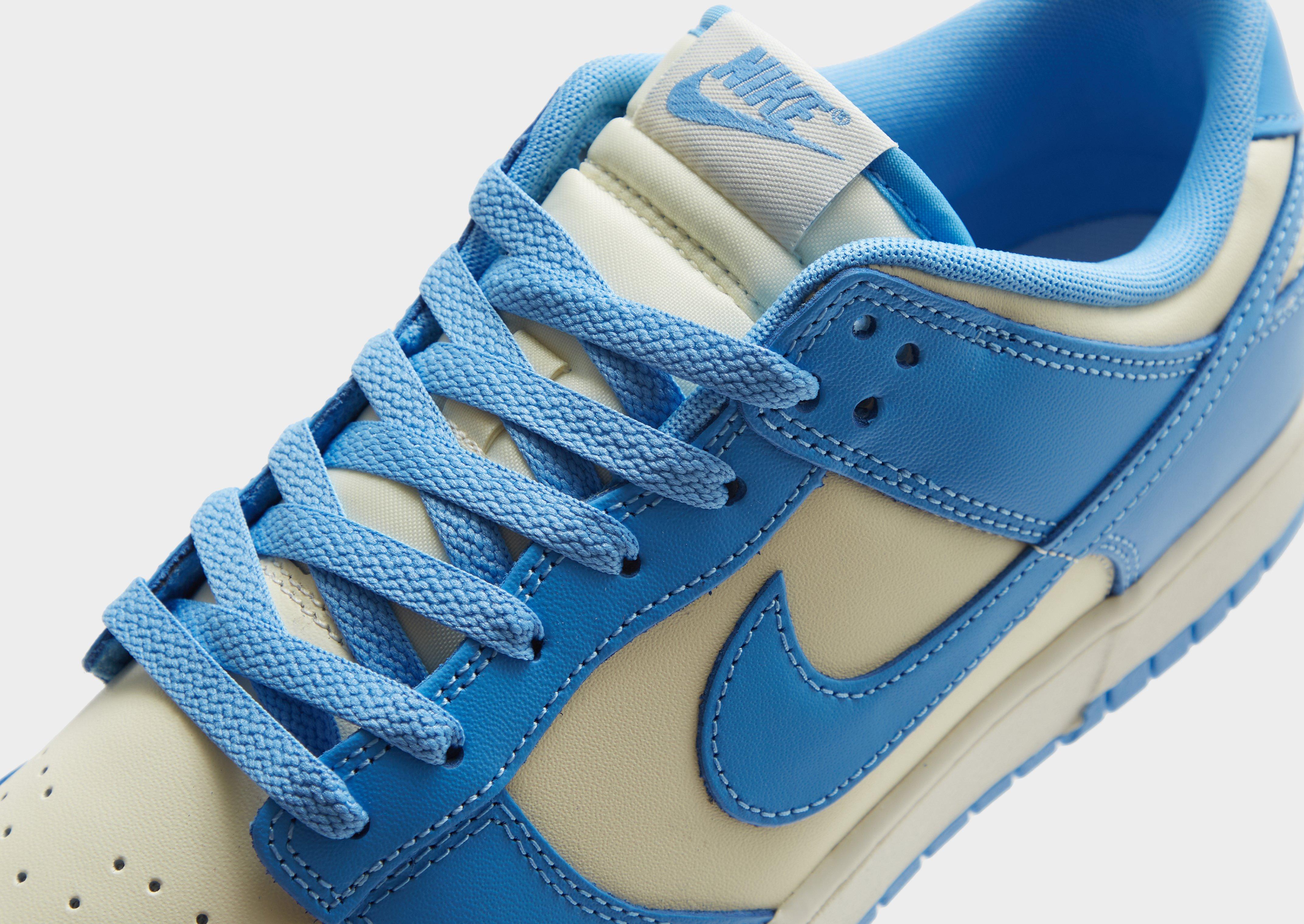 Adidași pentru bărbați NIKE DUNK LOW RETRO DV0833-113 Albastru