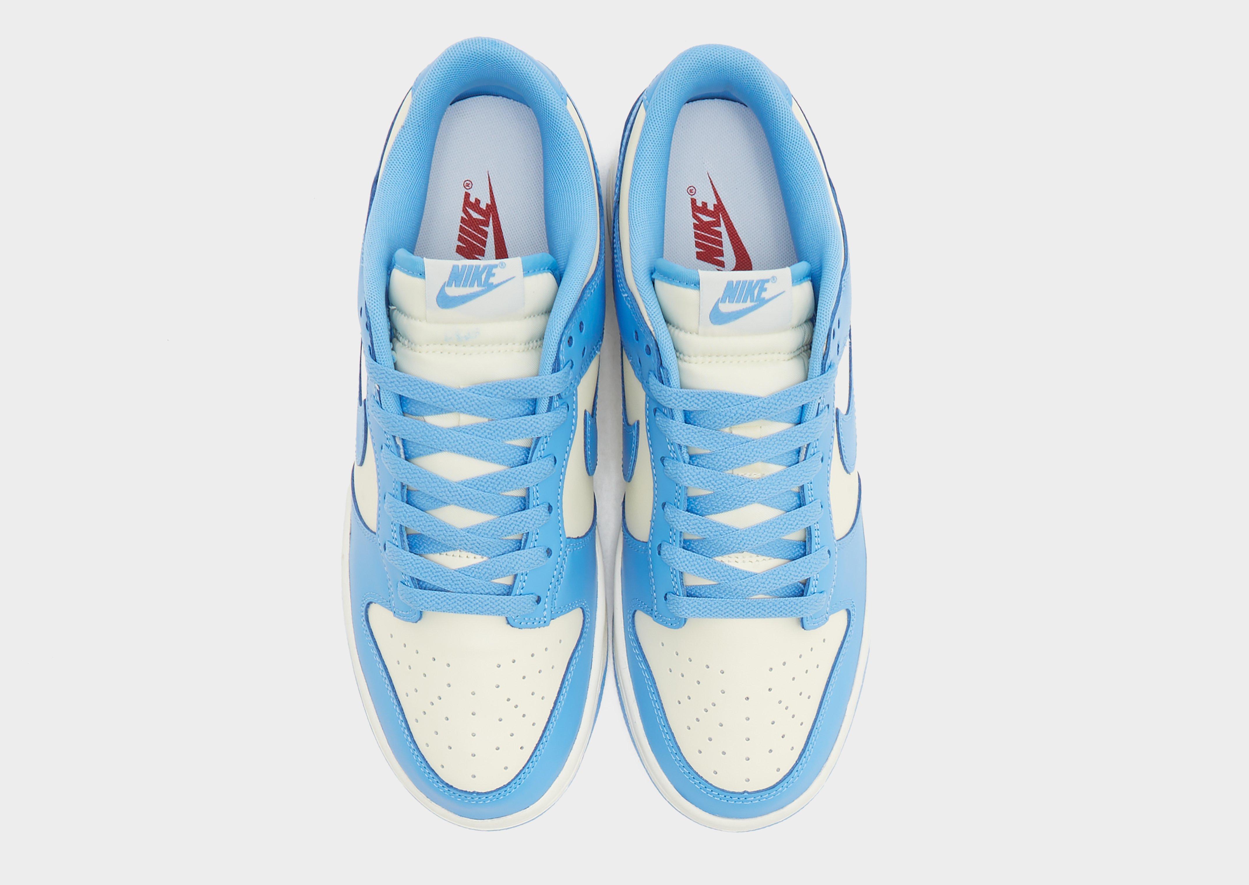 Adidași pentru bărbați NIKE DUNK LOW RETRO DV0833-113 Albastru