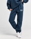 NIKE NOHAVICE  W NSW FLC PANT GLS