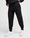 NIKE ШТАНИ W NSW TCH FLC MR JGGER 2