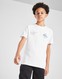 MCKENZIE T-SHIRT TITANIUM TEE WHT-WHT