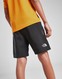 THE NORTH FACE PANTALONI   SCURȚI REACTOR SHORT BLACK