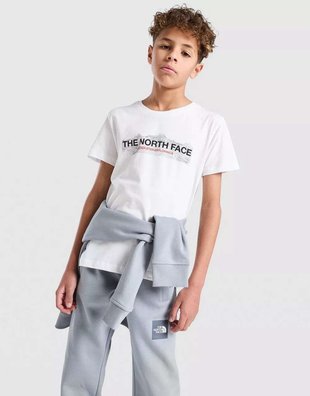 THE NORTH FACE ФУТБОЛКА MOUNTAIN T WHITE, фото 1 з 6