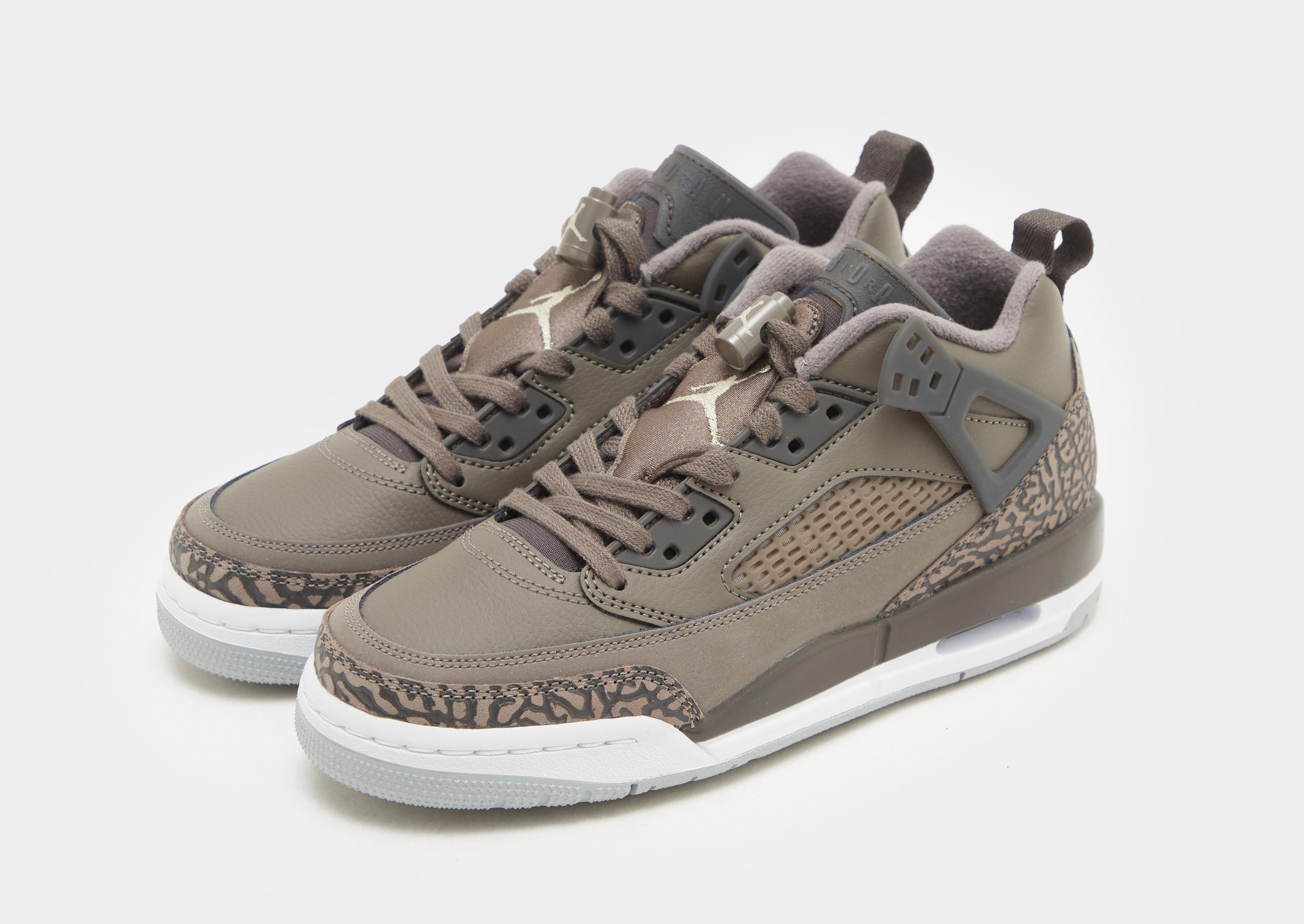 Adidași pentru copii JORDAN SPIZIKE LOW (GS) FQ3950-201 Gri