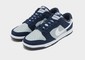 NIKE DUNK LOW RETRO