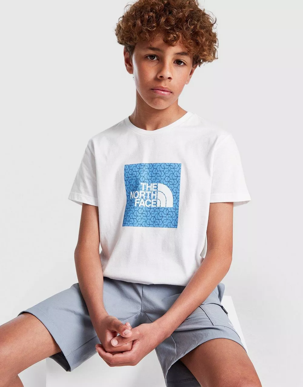 THE NORTH FACE ФУТБОЛКА BOX GEO T WHITE/BLUE B, фото 1 з 5