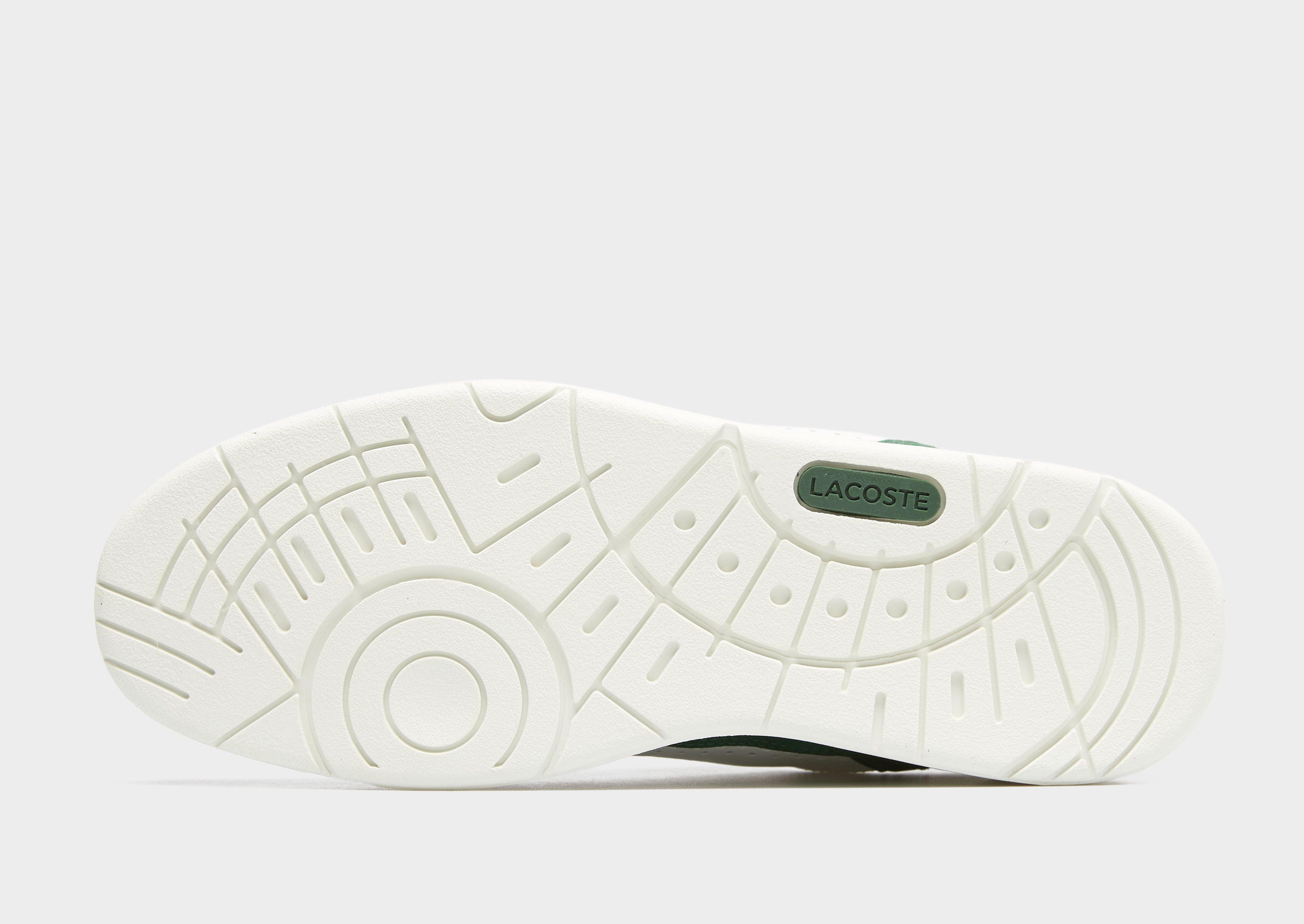 Kedai vyrams LACOSTE T-CLIP 124 4 SMA 747SMA00701R5 Balta