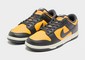 NIKE DUNK LOW RETRO