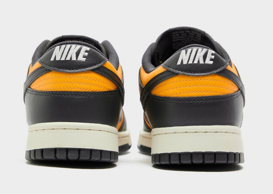 Pánske tenisky NIKE DUNK LOW RETRO HF5441-700 Čierna