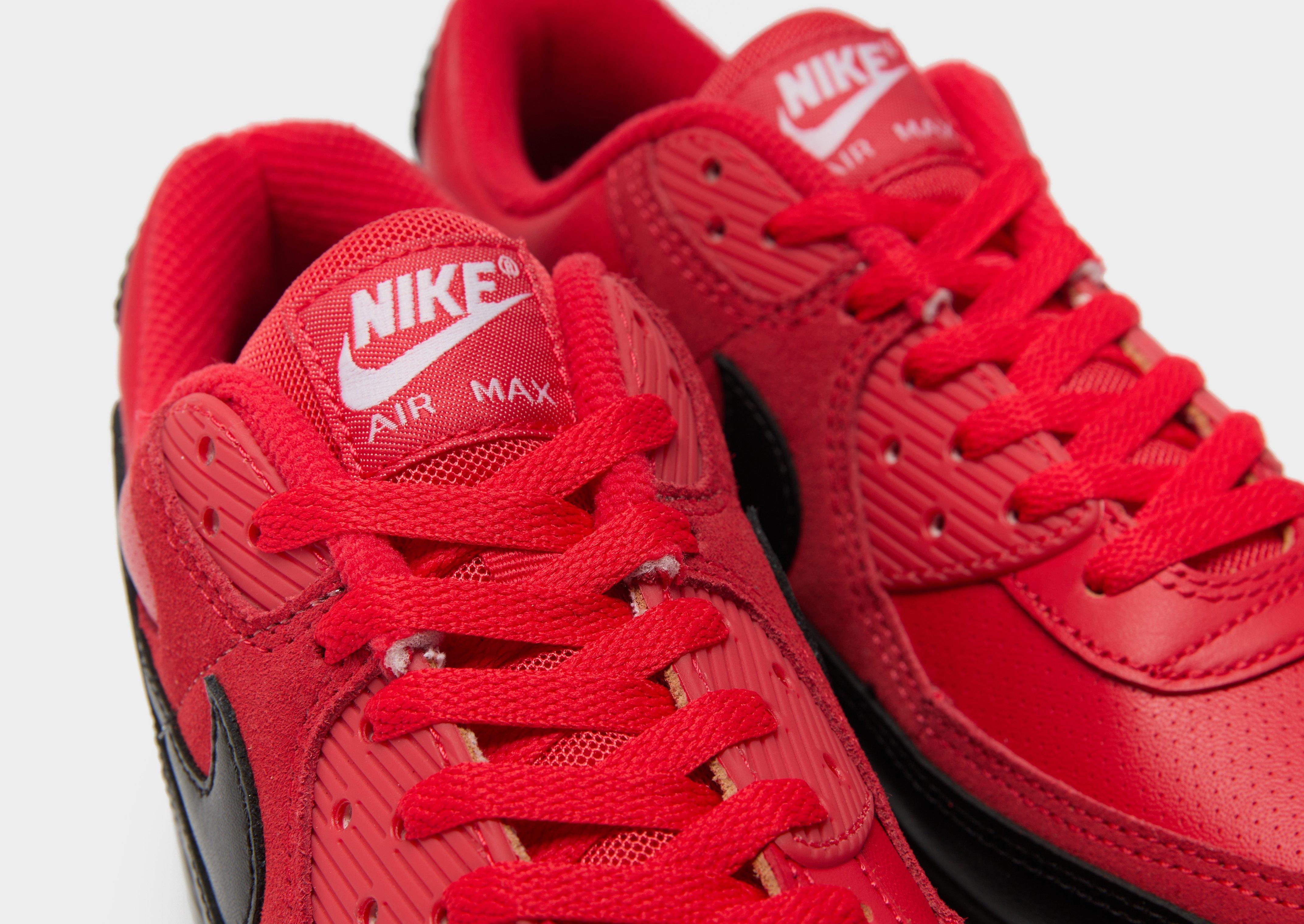 Чоловічі кросівки NIKE AIR MAX 90  IF0670-600 Чорний