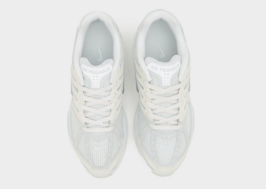 Adidași pentru bărbați NIKE AIR PEGASUS 2005 SE IB2983-001 Gri