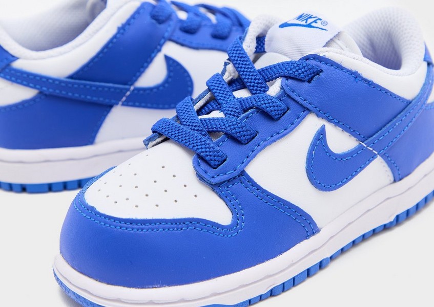 Nike Dunk Low Bte