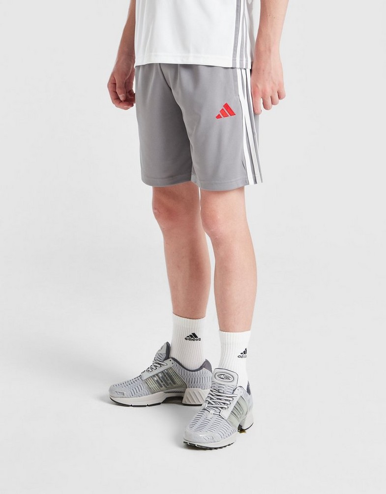 Detské krátke nohavice ADIDAS ŠORTKY  TIRO ES SHO Y B JY3382 Sivá