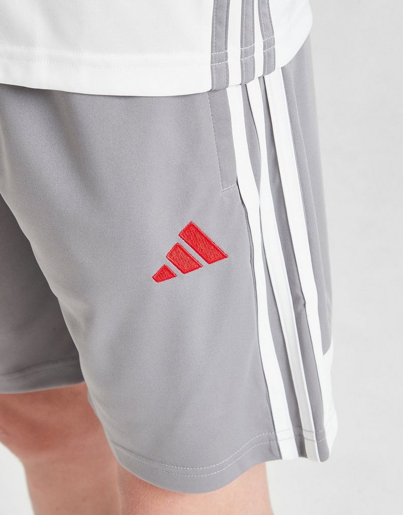 Detské krátke nohavice ADIDAS ŠORTKY  TIRO ES SHO Y B JY3382 Sivá