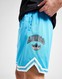 ADIDAS ŠORTKY  VARSITY BB SHORTS