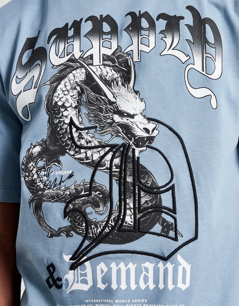 Koszulka, t-shirt dziecięcy SUPPLY&DEMAND T-SHIRT DRAGON TEE SUPTJB17511640 Niebieski