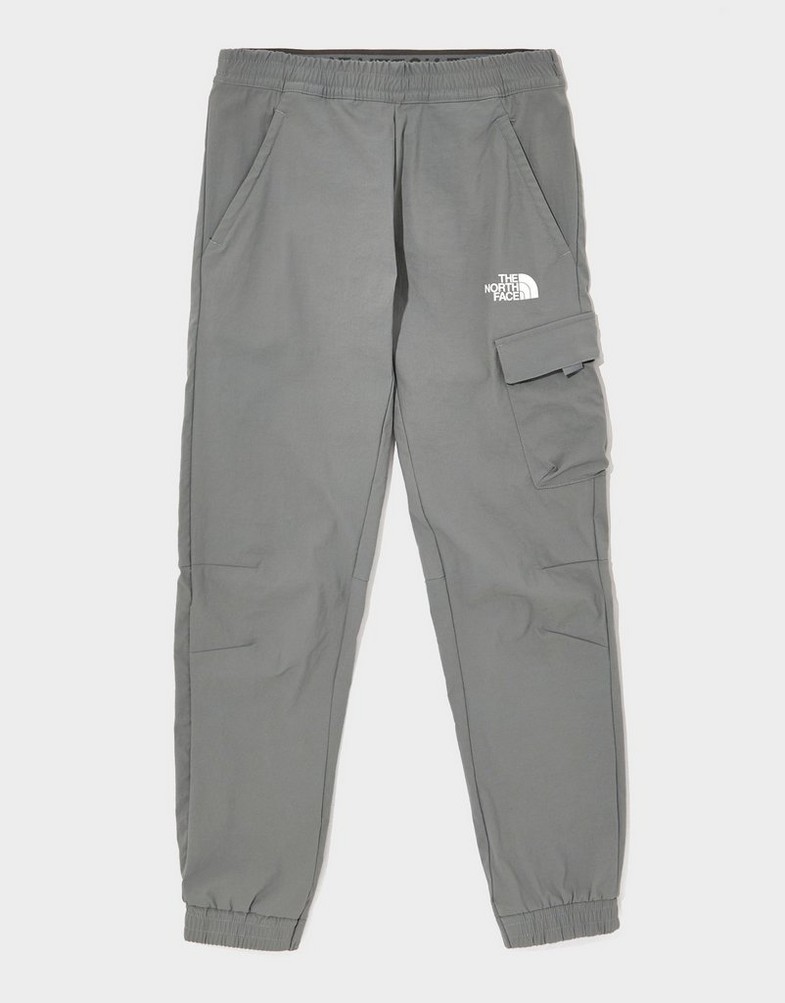 Pantaloni pentru copii THE NORTH FACE PANTALONI  $TRISHULL 2 CARGO PT GRE NF0A8FEHH5F1 Gri