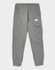 THE NORTH FACE PANTALONI  $TRISHULL 2 CARGO PT GRE