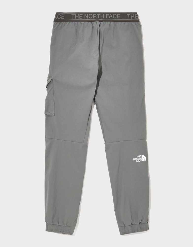 Pantaloni pentru copii THE NORTH FACE PANTALONI  $TRISHULL 2 CARGO PT GRE NF0A8FEHH5F1 Gri