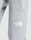 THE NORTH FACE SPODNIE $TRISHULL 2 CARGO PT GREY