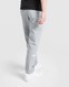 THE NORTH FACE SPODNIE $TRISHULL 2 CARGO PT GREY