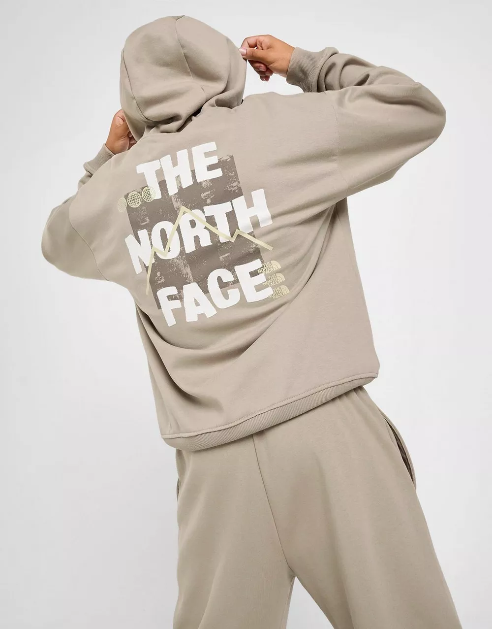 THE NORTH FACE КОФТА З КАПЮШОНОМ   SOBRETTA OS HDMUSH, фото 1 з 6