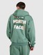 THE NORTH FACE VESTA S KAPULJAČOM   SOBRETTA OS T DKGN