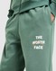 THE NORTH FACE HLAČE SOBRETTA OS T DKGN