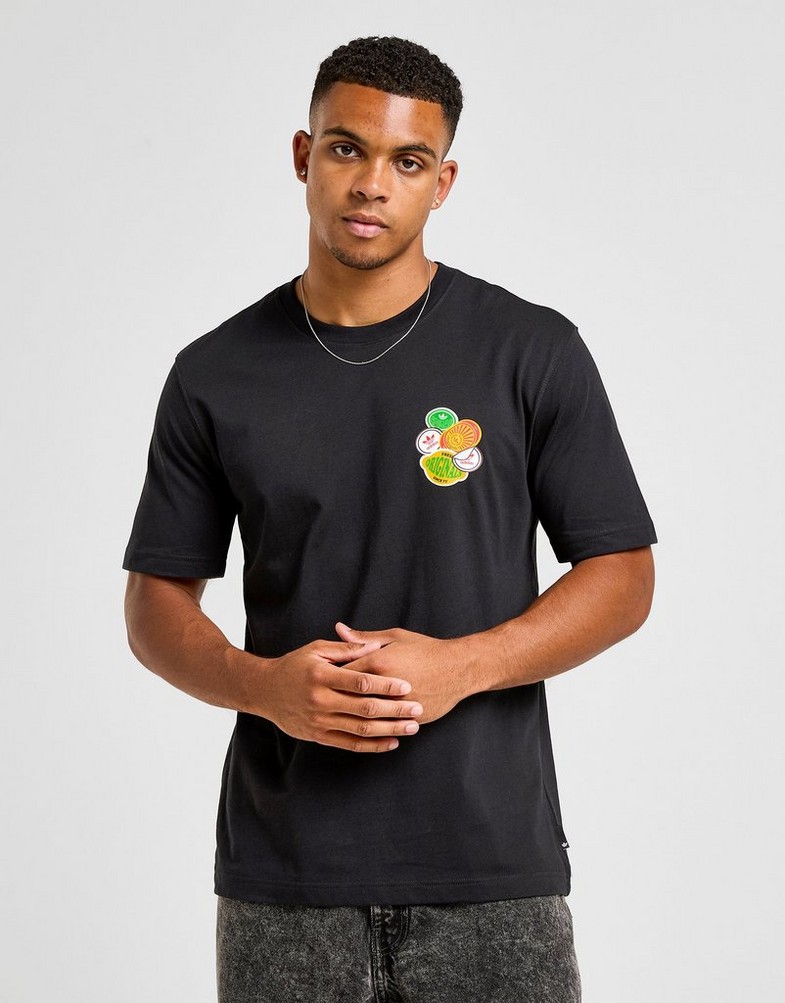 Koszulka, t-shirt męski ADIDAS T-SHIRT FRUIT BOWL T KD6628 Czarny
