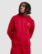 JORDAN BLUZA Z KAPTUREM M J BRK VARSITY PO HD BB