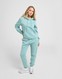 NIKE DŽEMPERIS SU GOBTUVU W   NSW PHNX FLC STD PO HOODIE