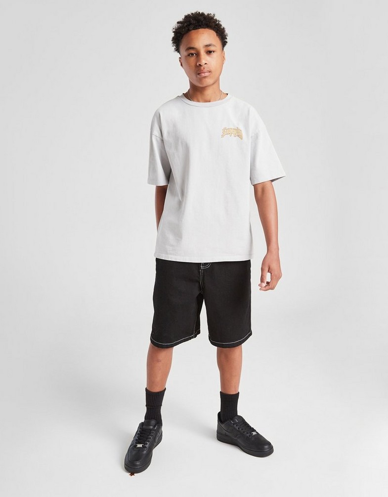 Tricou pentru copii SUPPLY&DEMAND TRICOU CATCHER GRY-HIR B SUPTJB17710020 Gri