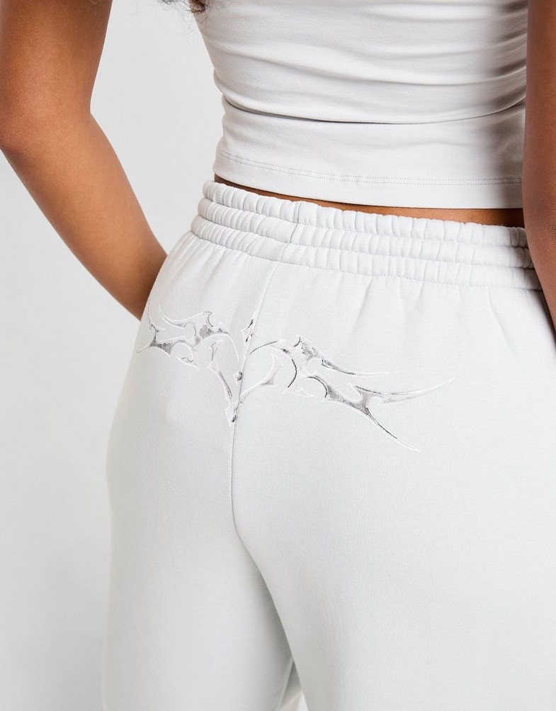 Жіночі штани HOODRICH ШТАНИ SPARK OVERSIZED JOGGERS HW02250207 Сірий