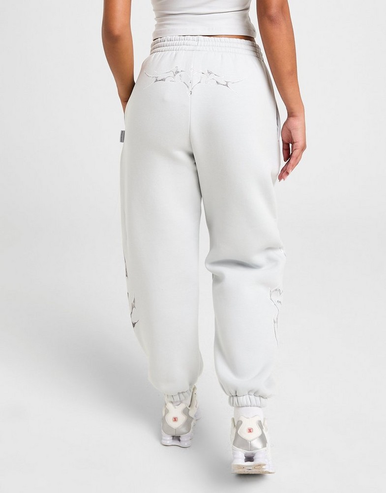 Жіночі штани HOODRICH ШТАНИ SPARK OVERSIZED JOGGERS HW02250207 Сірий