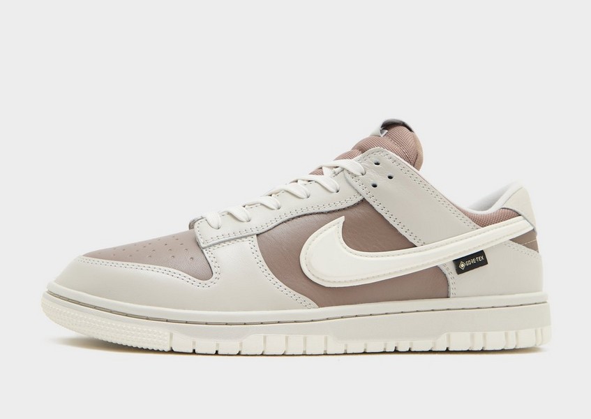 Nike Dunk Low Gtx