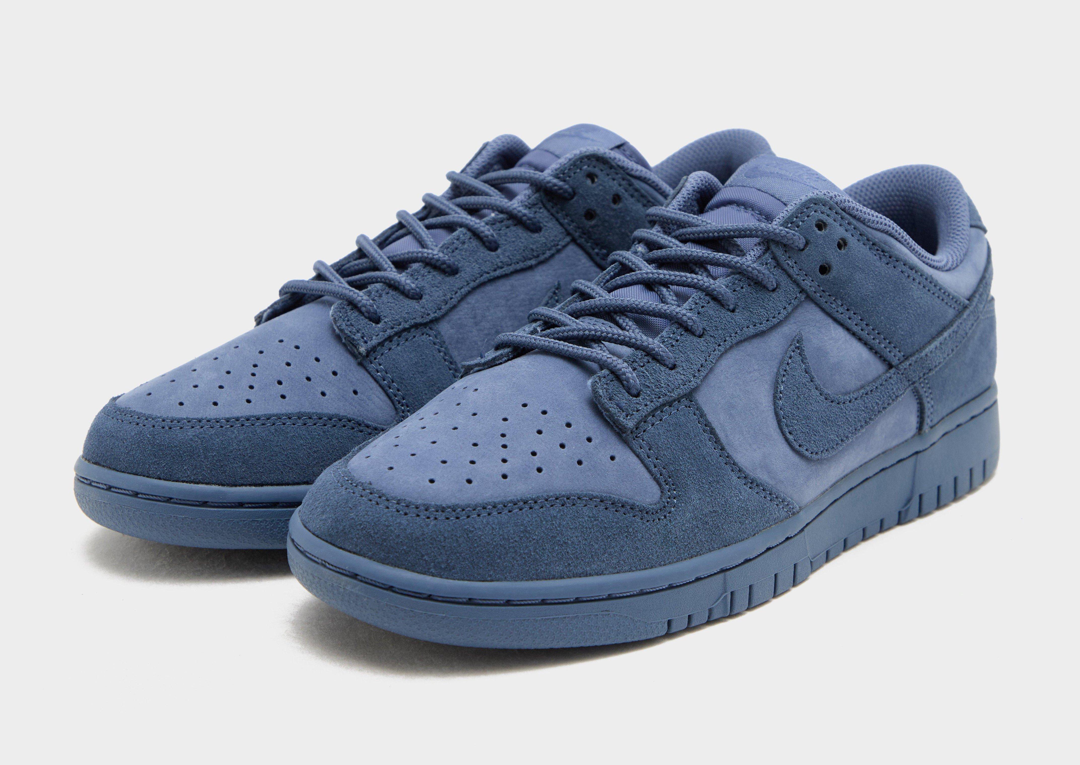 Nike Dunk Low Retro Se Nubuck