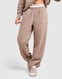 NIKE SPODNIE W NSW PHNX FLC HR PANT GLS